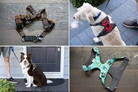Just how the Very best Custom No pull harness Simplifies Dog Move? post thumbnail image