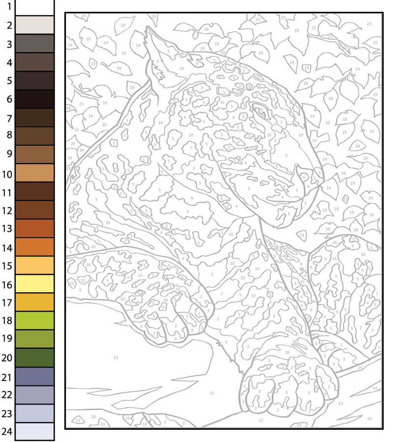 Know how you can Paint by numbers post thumbnail image