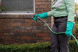 Professional and Reliable Pest Removal Services in Las Vegas post thumbnail image