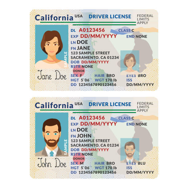 The Allure of Fake IDs: Examining the Popularity post thumbnail image