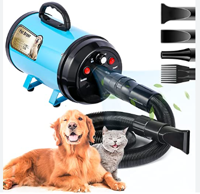 Know why it can be so needed to get a dog blow dryer with your studio post thumbnail image