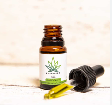 The Science Behind CBD Oil – What You Need to Know post thumbnail image