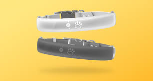 Stylish, Durable, and Practical: Halo Dog Collars Are a Must-Have! post thumbnail image