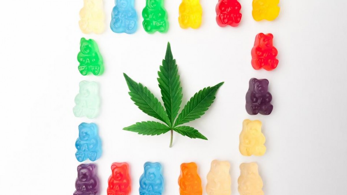 The Sweet Scoop On CBD sleep gummies: Benefits, Uses, And More post thumbnail image