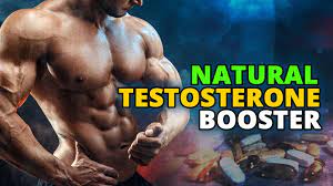 5 Basic Strategies For Enhancing Testosterone Ranges post thumbnail image