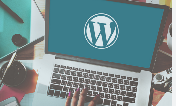 Get Effects Faster With an Expert Freelance WordPress Developer post thumbnail image