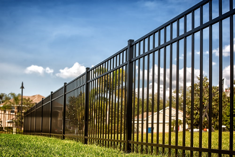 Bordering on Belonging: Fences and Identity post thumbnail image